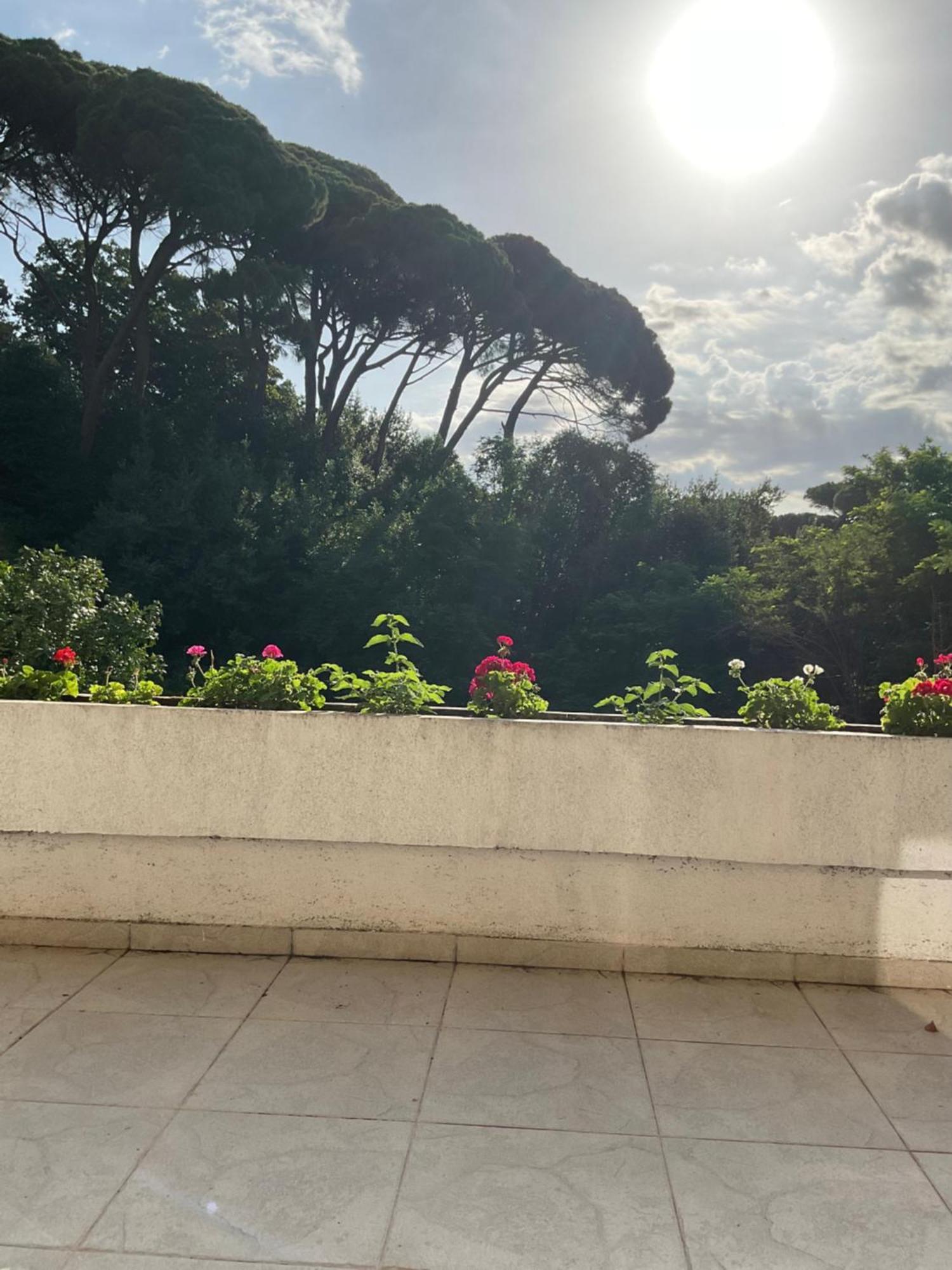 Villa Monte Boutique Apartments In Herceg Novi Eksteriør bilde