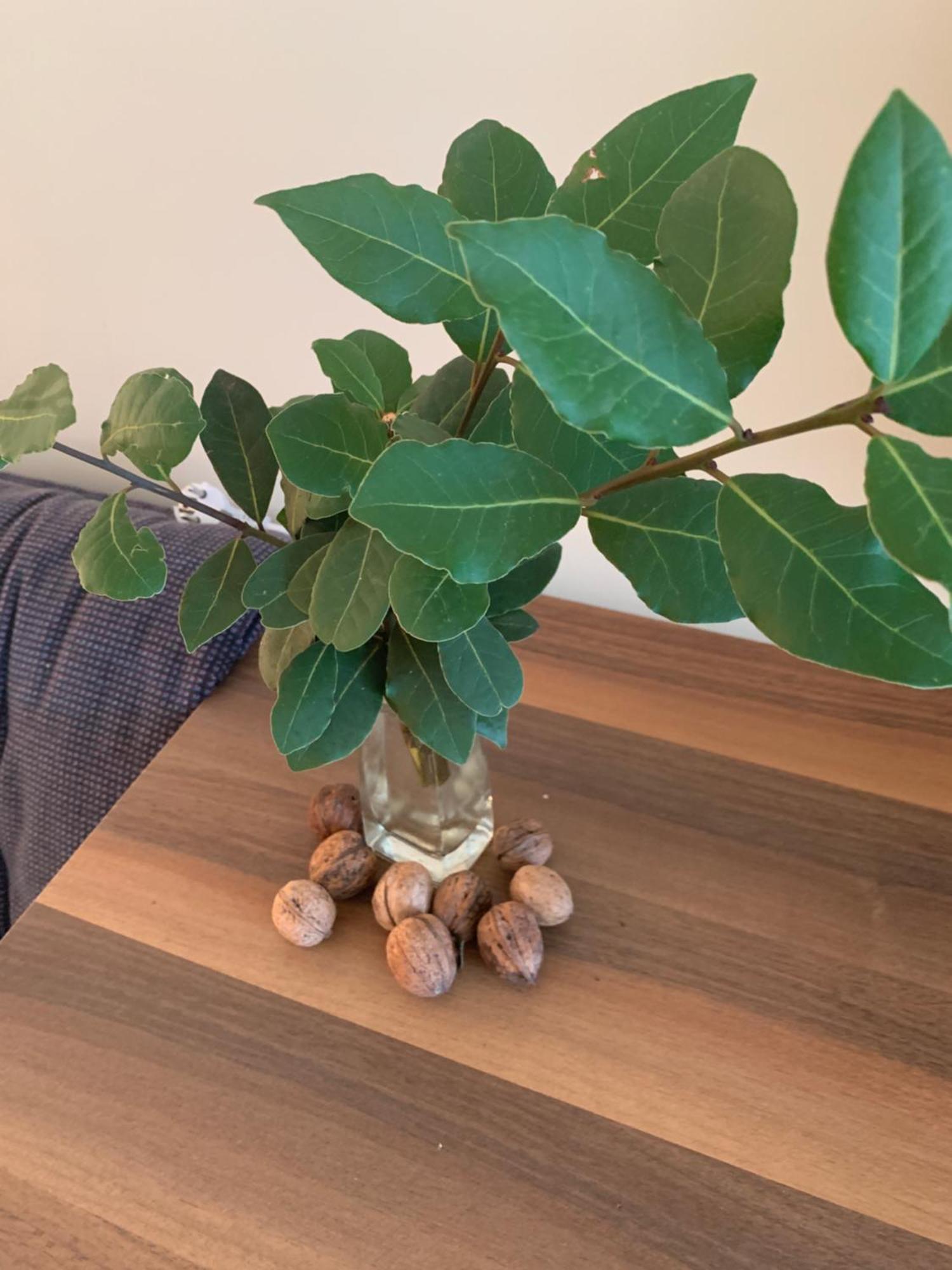 Villa Monte Boutique Apartments In Herceg Novi Eksteriør bilde