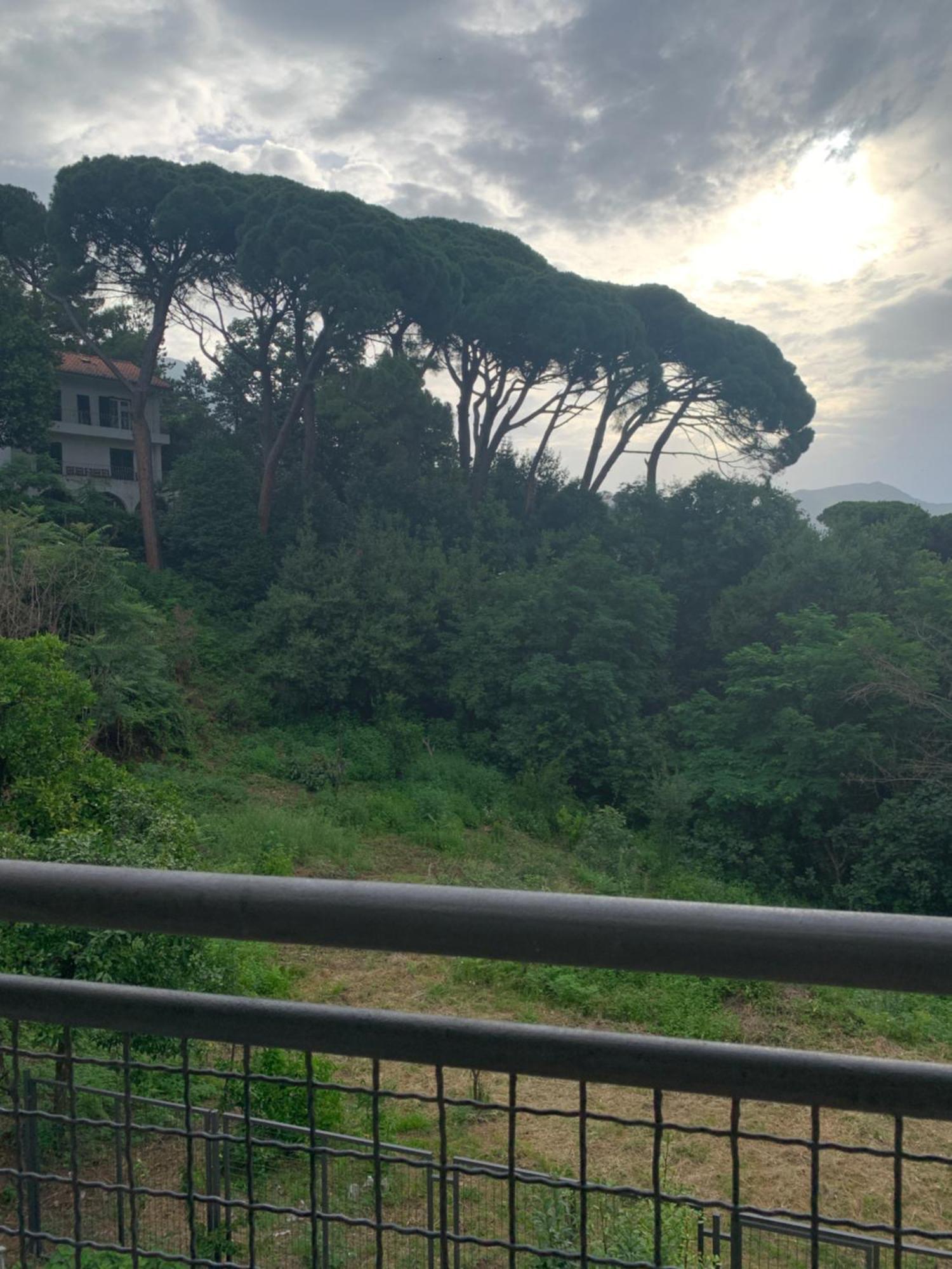 Villa Monte Boutique Apartments In Herceg Novi Eksteriør bilde