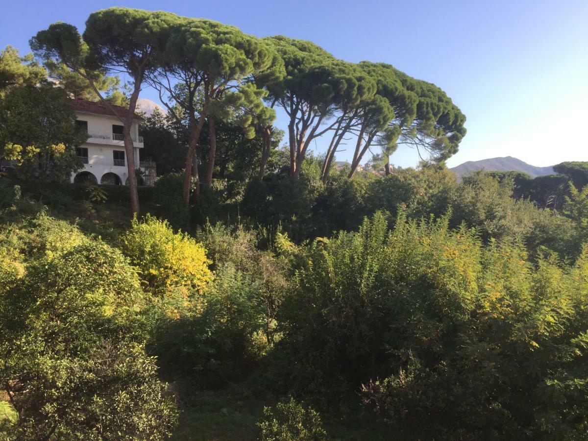 Villa Monte Boutique Apartments In Herceg Novi Eksteriør bilde