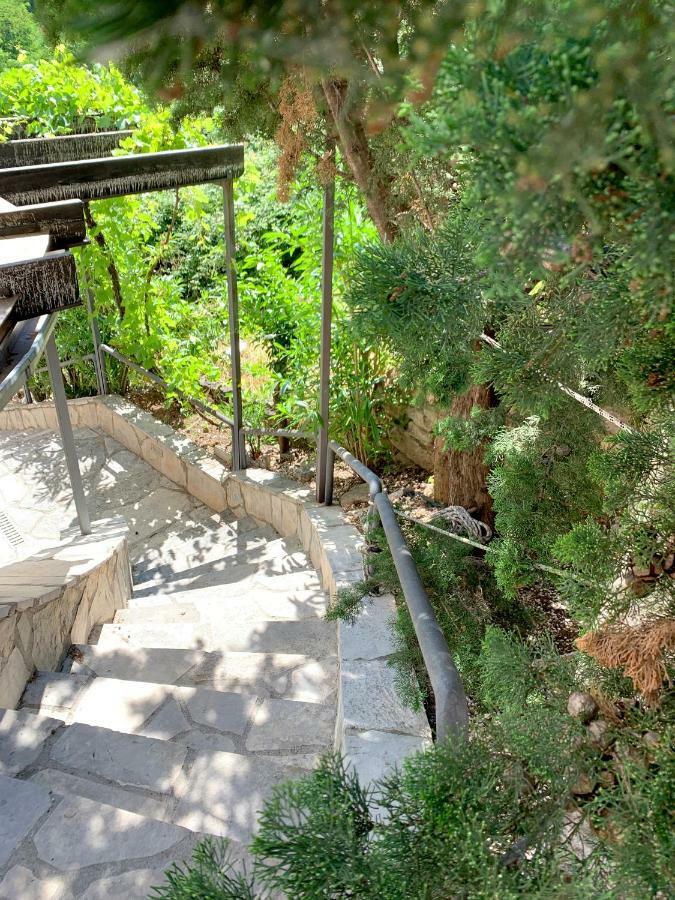 Villa Monte Boutique Apartments In Herceg Novi Eksteriør bilde